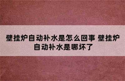 壁挂炉自动补水是怎么回事 壁挂炉自动补水是哪坏了